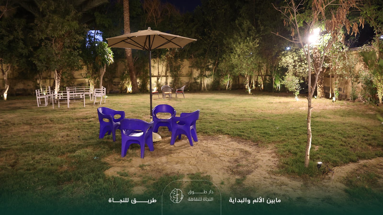الحديقة ليلاً